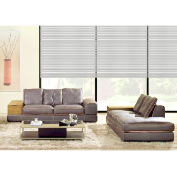 Zebra Roller Curtain Blind Gauze Shadings